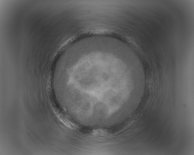 X0000080680591200701121701