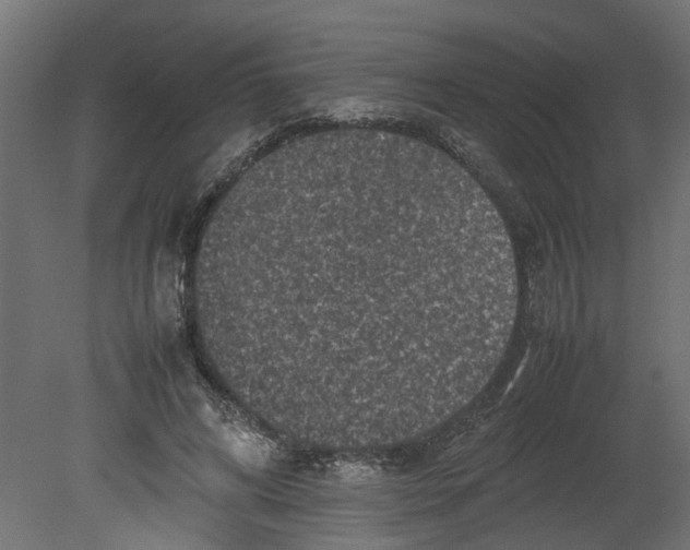 X0000080680592200701121701