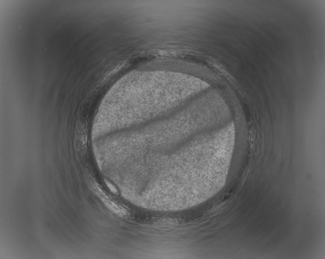 X0000080680593200701121701