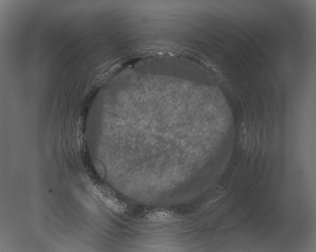 X0000080680594200701121701