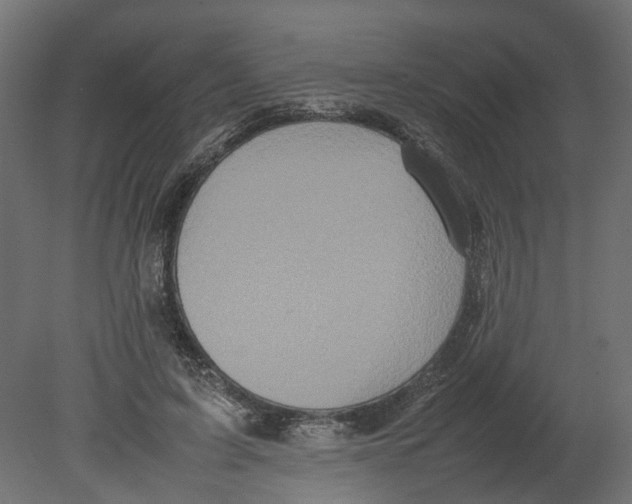 X0000080680595200701121701