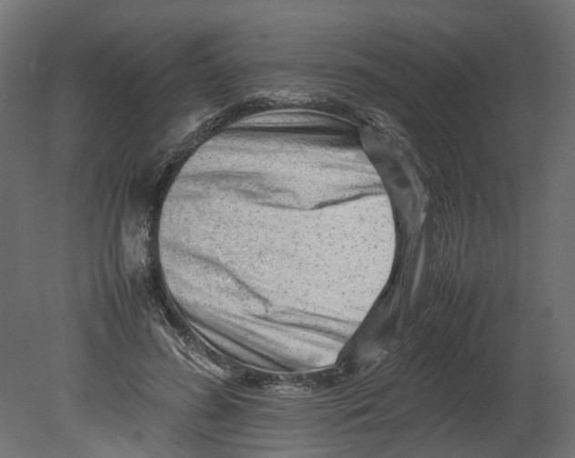 X0000080680596200701121701