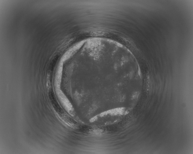 X0000080680598200701121701