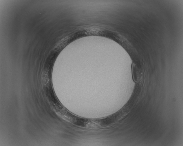 X0000080680599200701121701