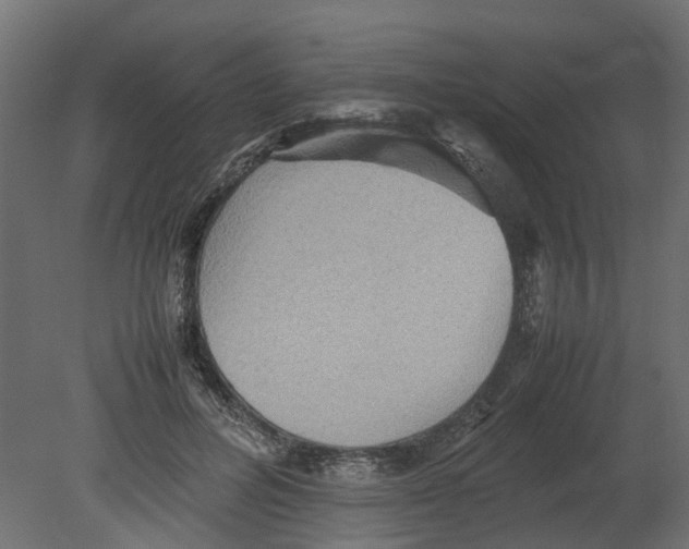 X0000080680600200701121701