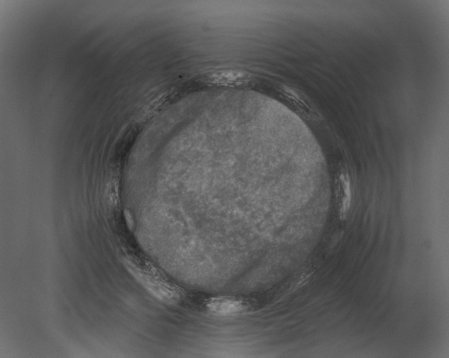 X0000080680602200701121701