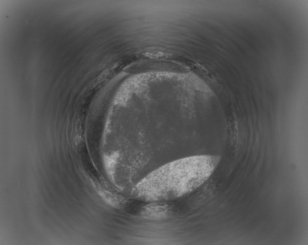 X0000080680606200701121700