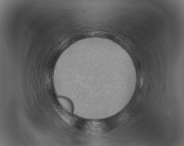 X0000080680607200701121700