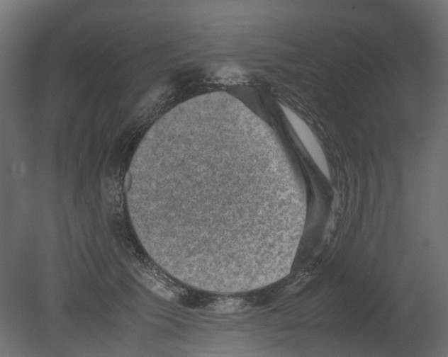 X0000080680609200701121700