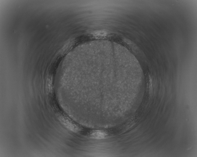 X0000080680610200701121700