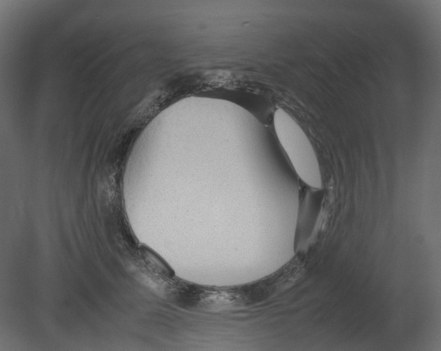 X0000080680611200701121700