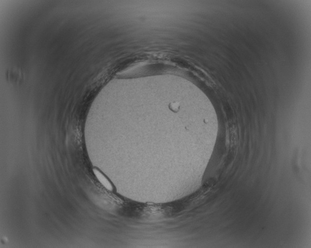 X0000080680613200701121700