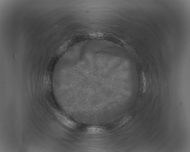 X0000080680614200701121700