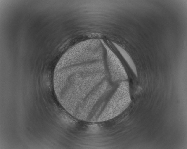 X0000080680616200701121700