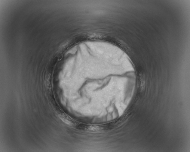 X0000080680619200701121700