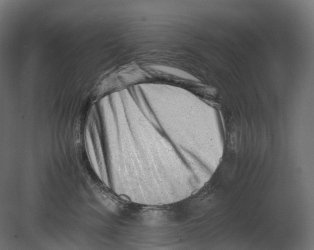 X0000080680620200701121700