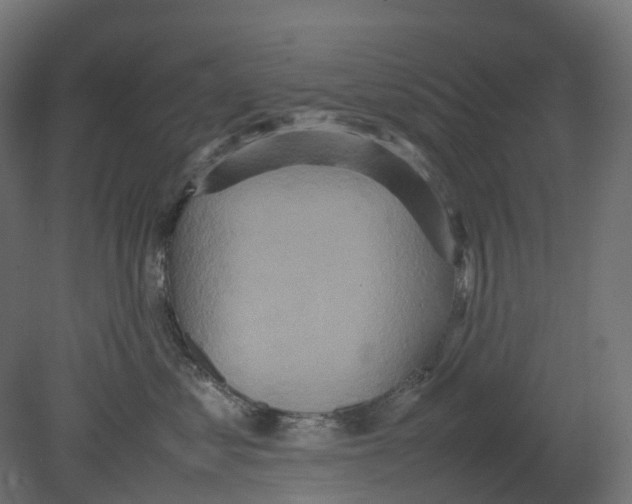 X0000080680621200701121700