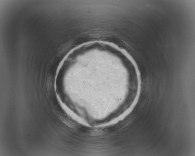 X0000080680623200701121700