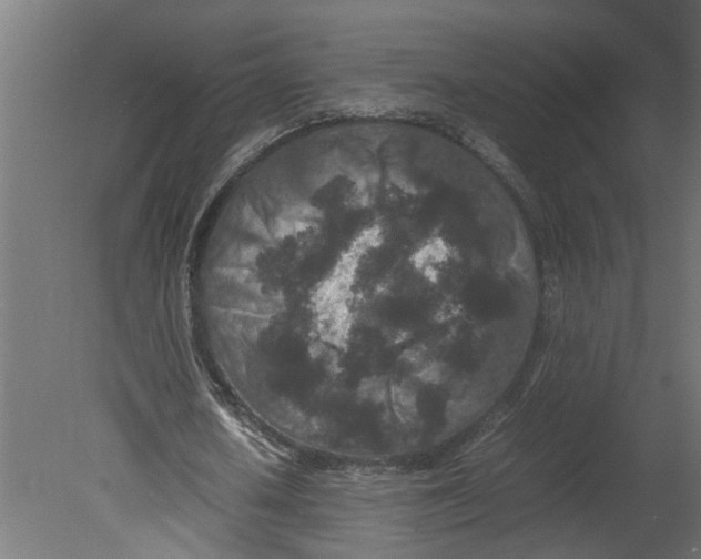 X0000080680626200701121659