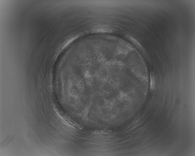 X0000080680627200701121659