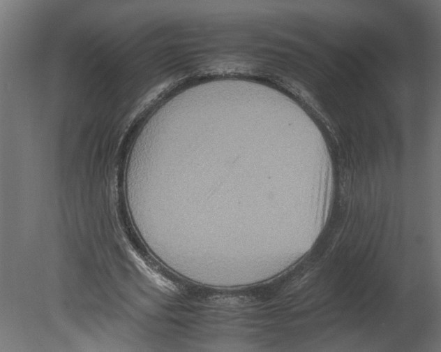 X0000080680629200701121659