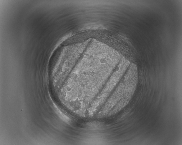 X0000080680630200701121659