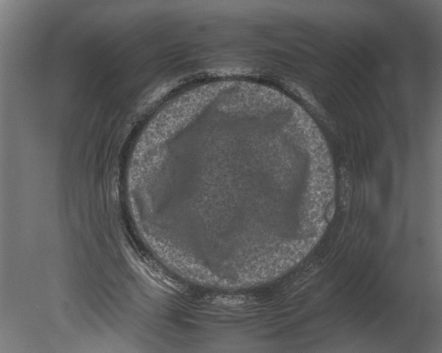 X0000080680631200701121659