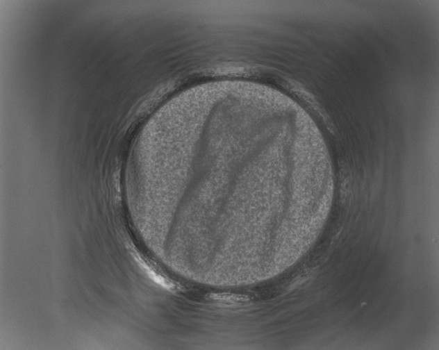 X0000080680633200701121700