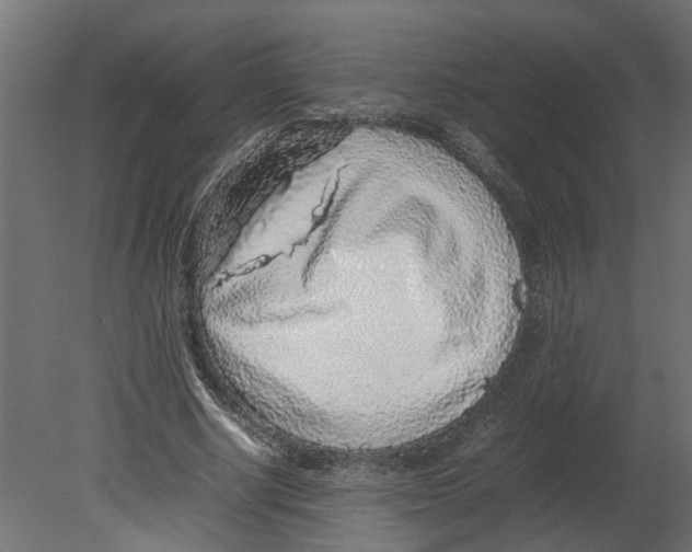 X0000080680634200701121700