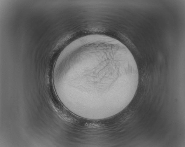 X0000080680635200701121700