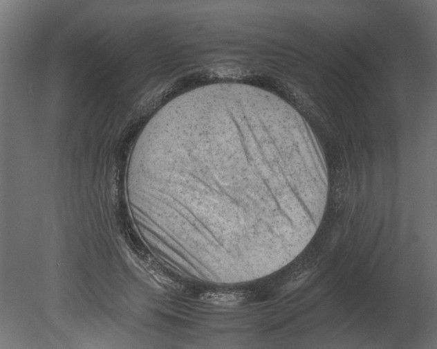 X0000080680639200701121700