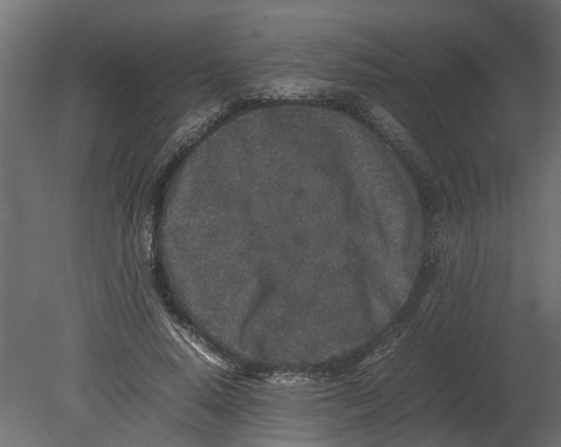 X0000080680640200701121700