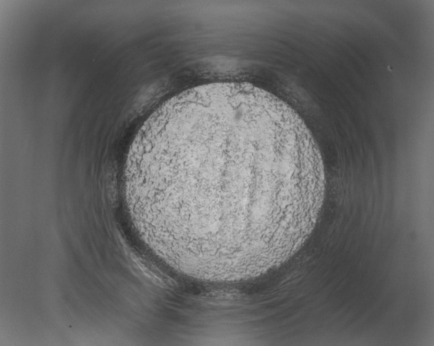 X0000080680642200701121700