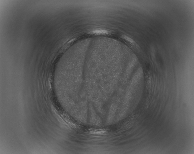 X0000080680643200701121700