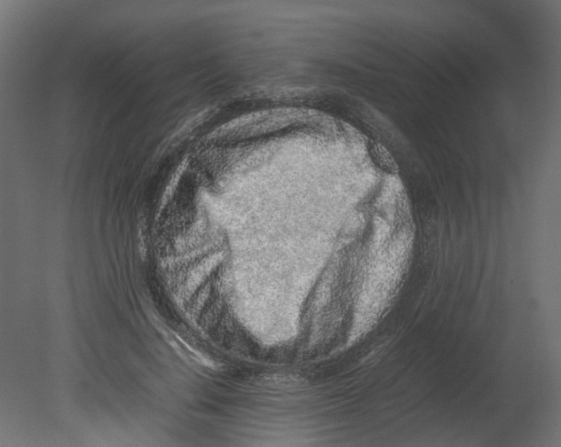 X0000080680644200701121700