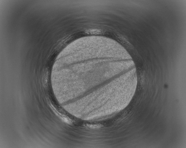 X0000080680645200701121700