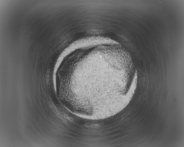 X0000080680647200701121700