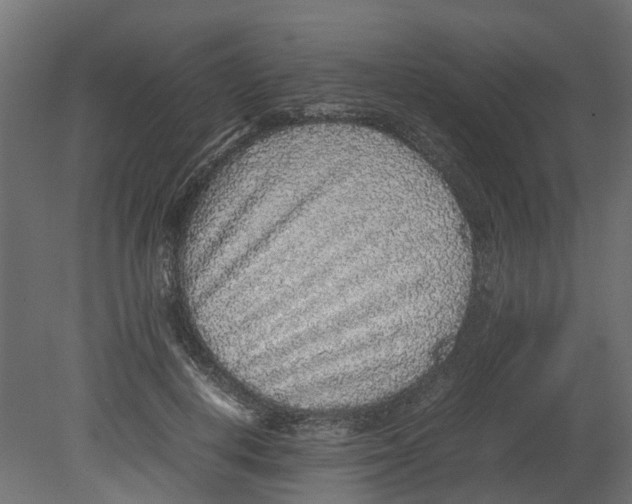 X0000080680648200701121700