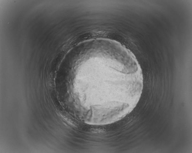 X0000080680649200701121700