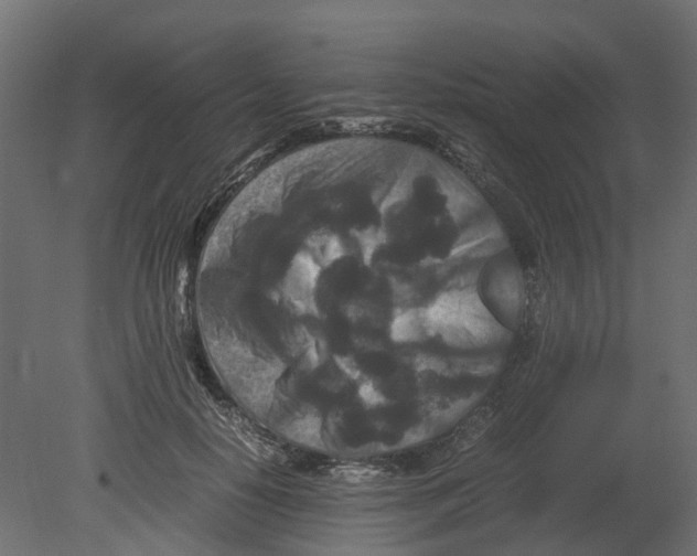 X0000080680650200701121700