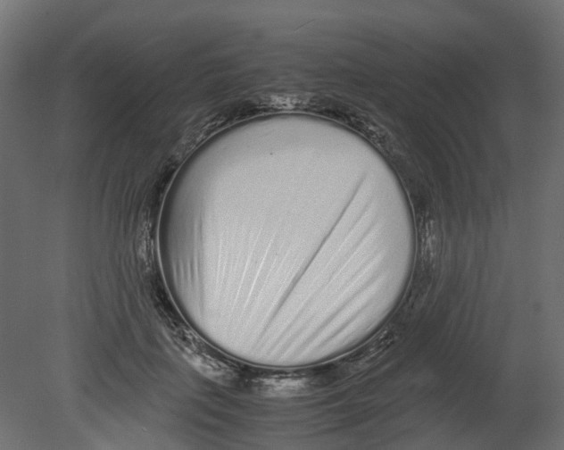 X0000080680651200701121700