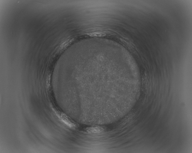 X0000080680652200701121700