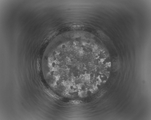 X0000080680654200701121700