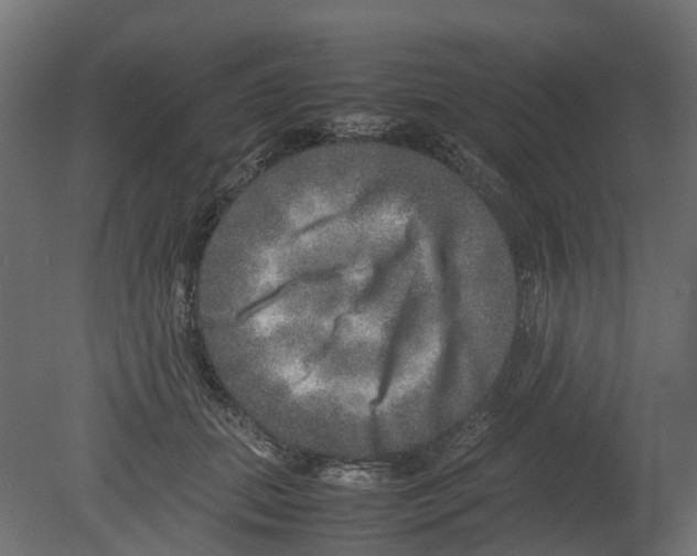 X0000080680655200701121700