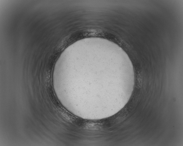 X0000080680657200701121700