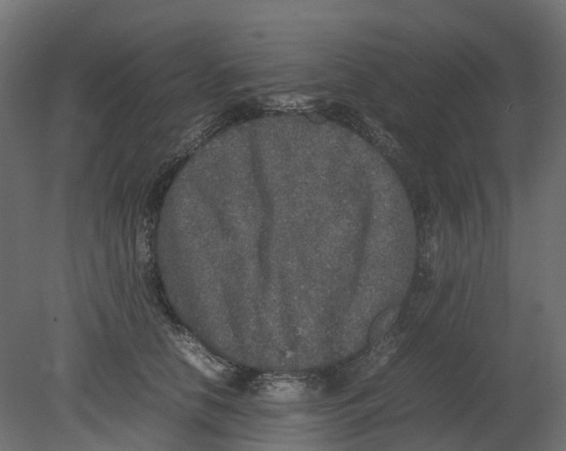 X0000080680658200701121700