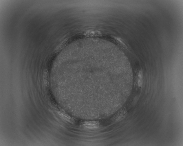 X0000080680659200701121700