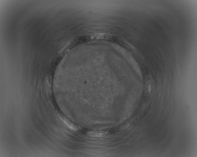 X0000080680661200701121700