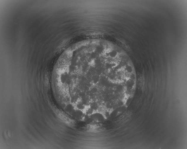 X0000080680662200701121700