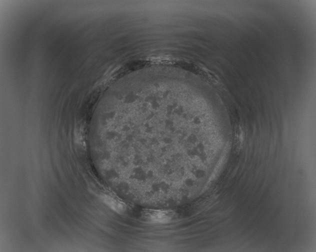 X0000080680663200701121700